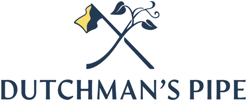 Dutchman's Pipe Club