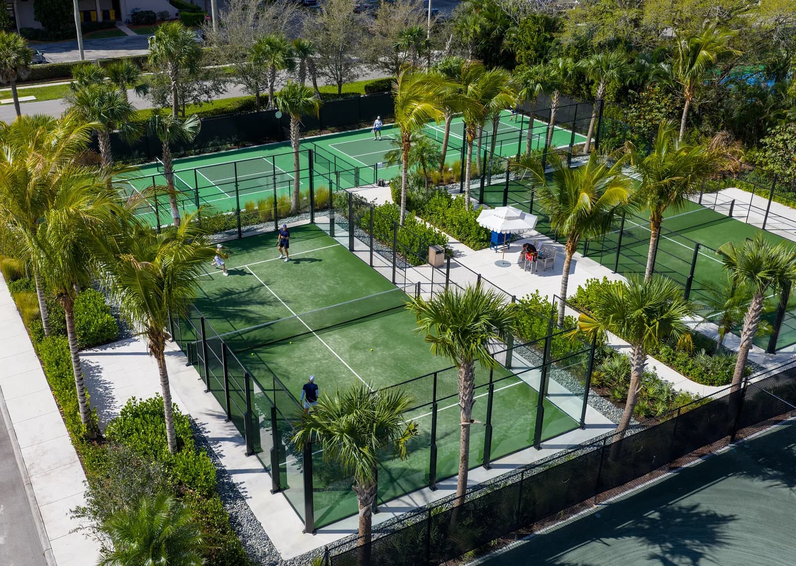 Padel and tennis courts framed by palms at a resort club